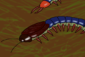 ファイル:Cockpede.png